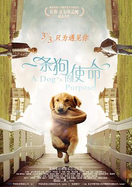 免费特级黄毛片在线成人观看